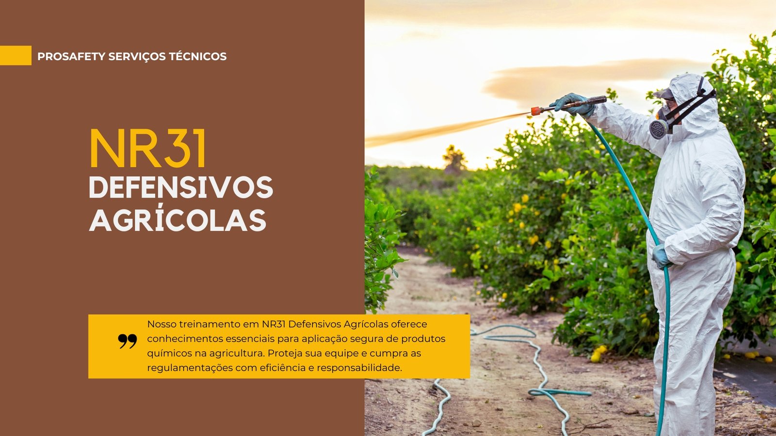 NR 31 – Defensivos Agricolas