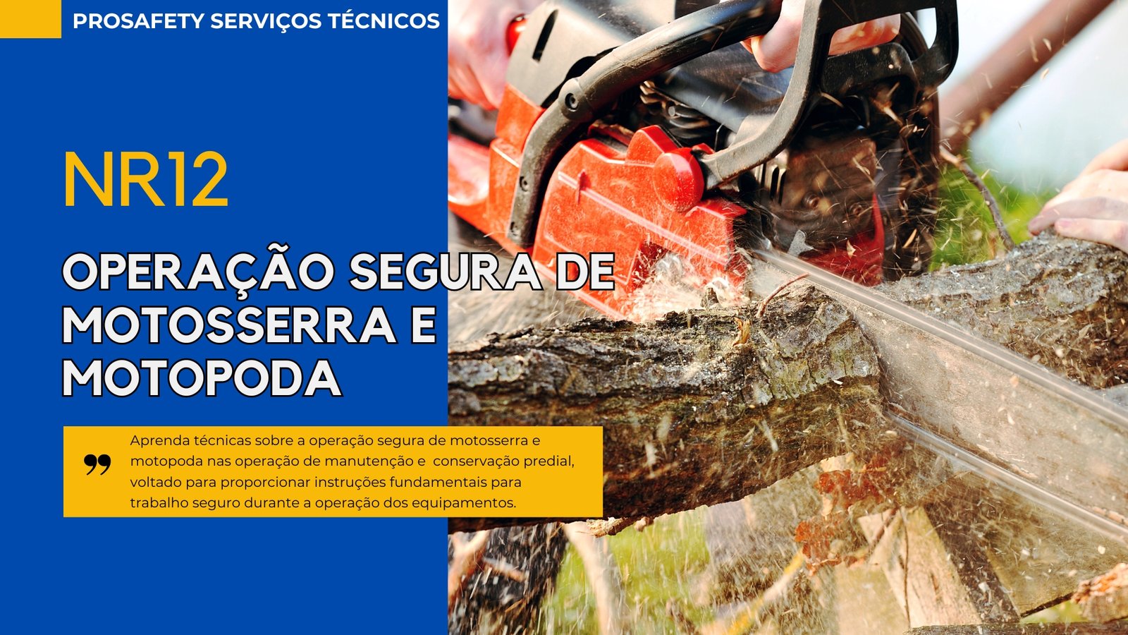 NR 12 Motosserra e Motopoda